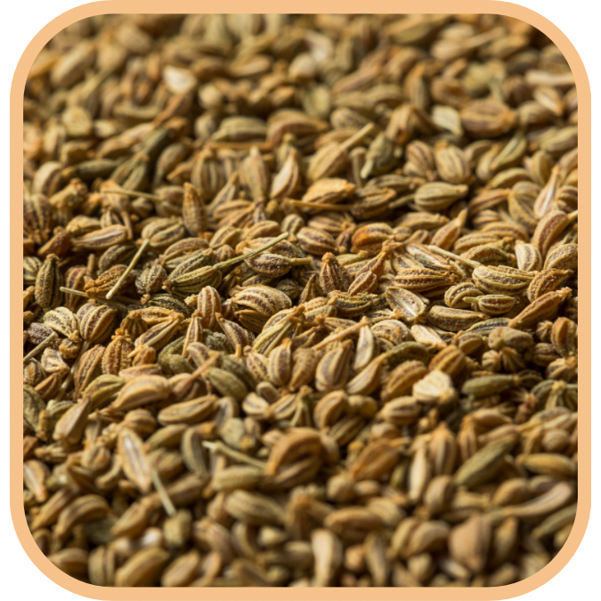 Uttam Ajwain 500gm