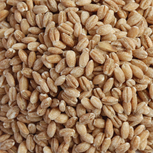 JK Pearled BARLEY 1kg