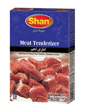 Shaan meat tenderizer 40 gm