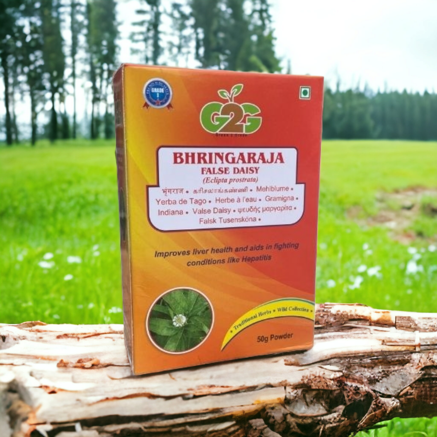 G2G Bhringraj Powder 50gm