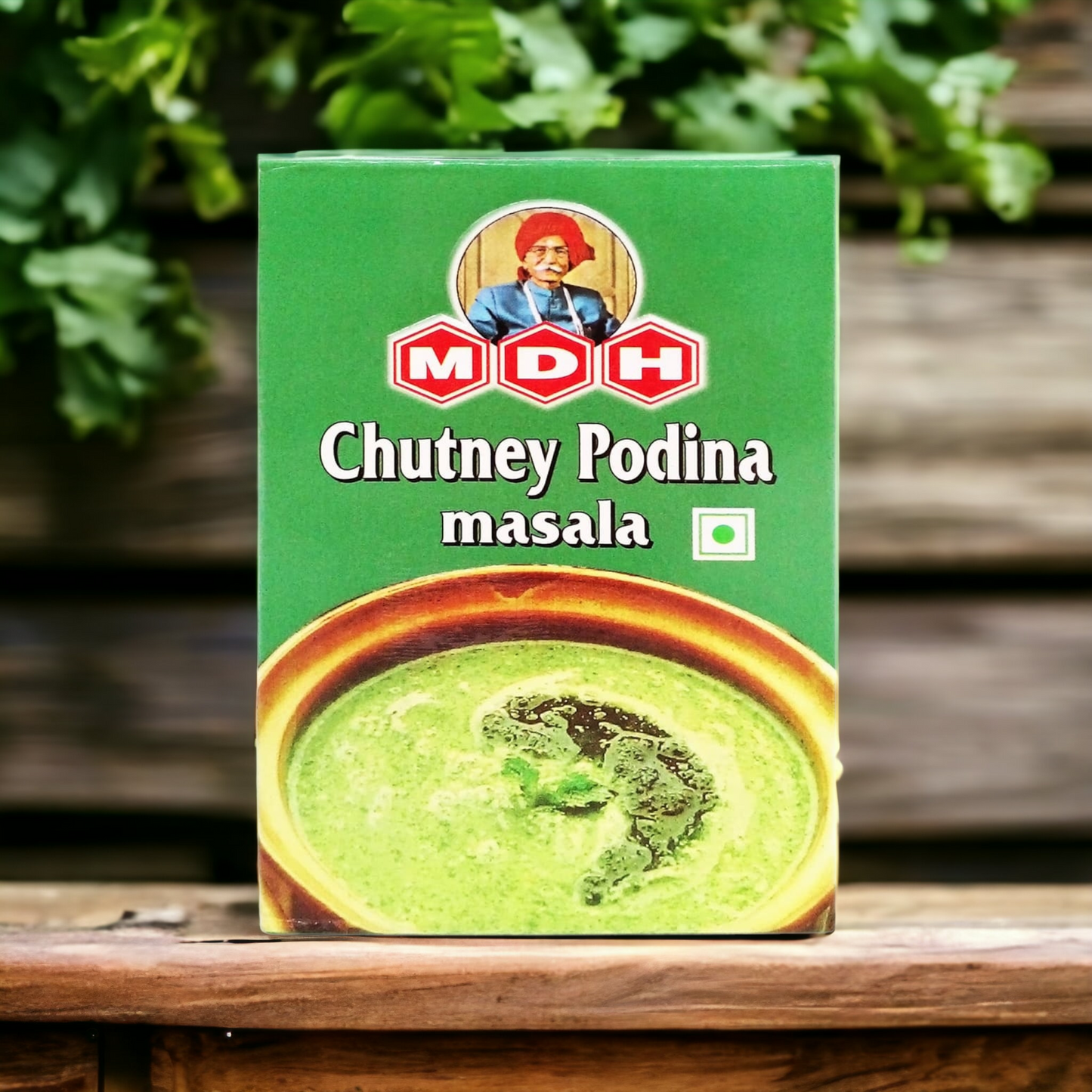 MDH Chutney Podina Masala 100gm