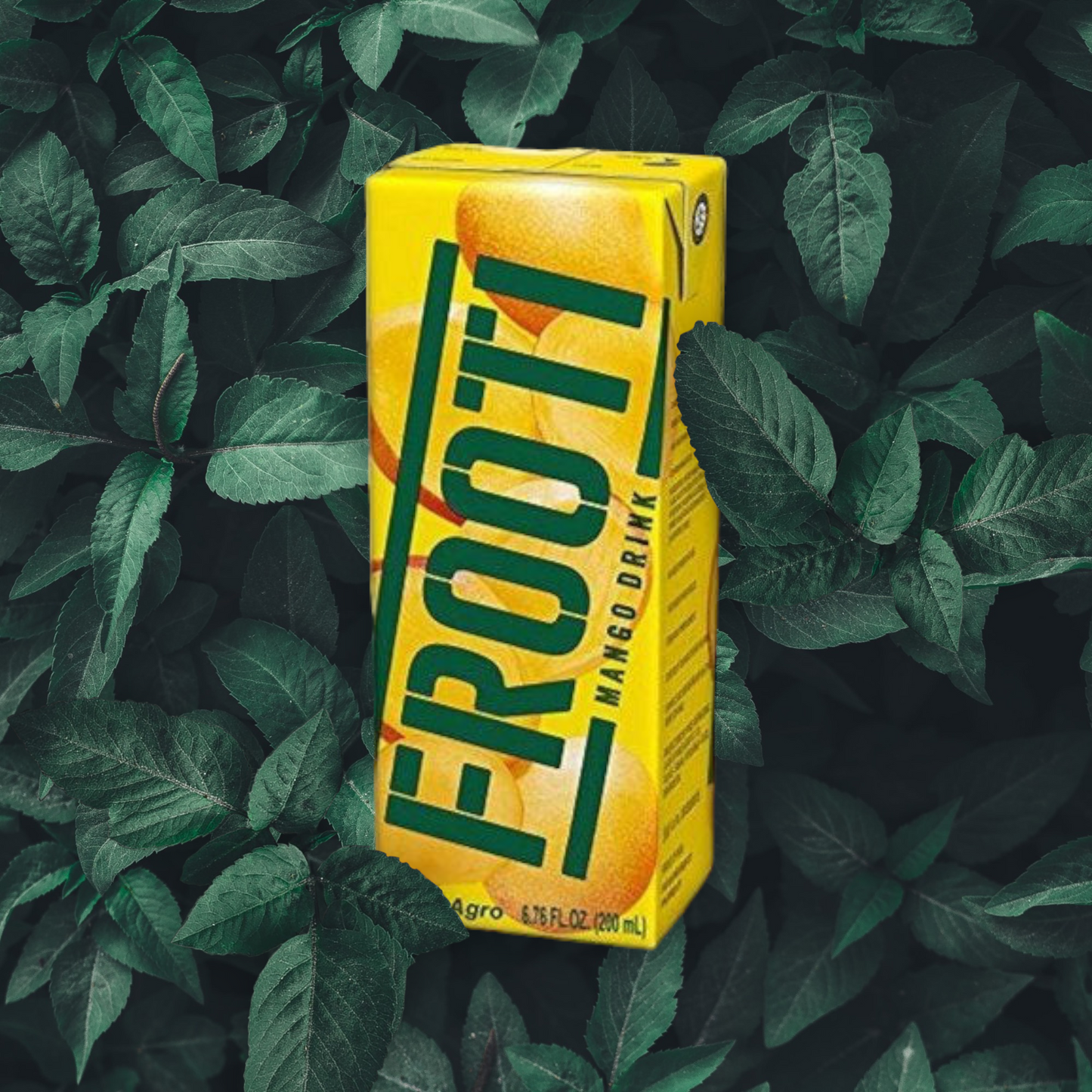 Frooti 200ml