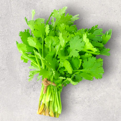 Fresh Coriander Bunch