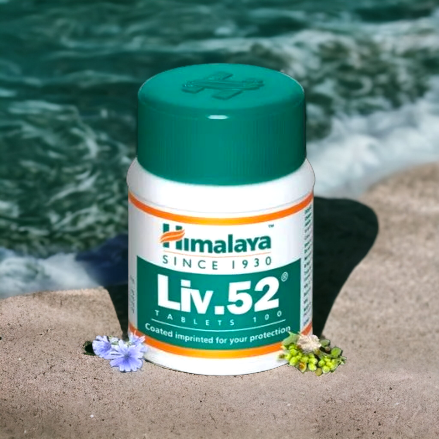 Himalaya Liv 52 Tablets