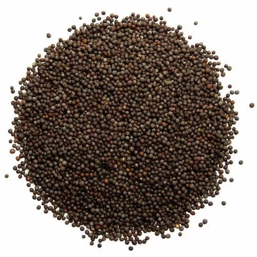 Mustard Seeds 200gm