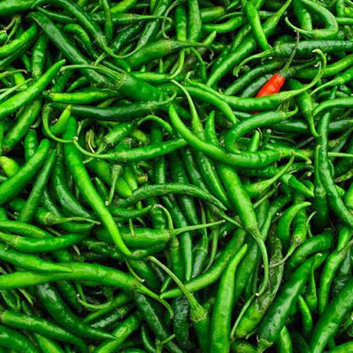 Fresh Green Chillis per kg